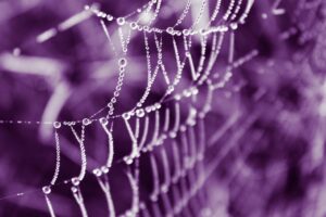 元カレとの復縁を目指すためのカウンセラーへの相談方法は？