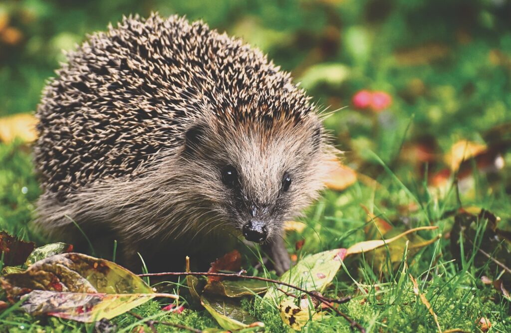 元カレが戻る可能性は本当にあるの？