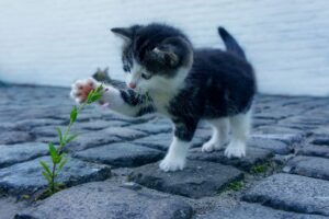 元カレに彼女がいるかどうかを見極める方法は？