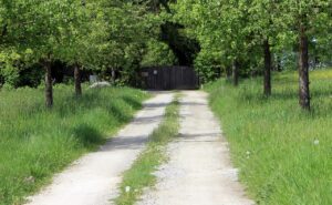 復縁のために連絡する際の内容は何が重要ですか？