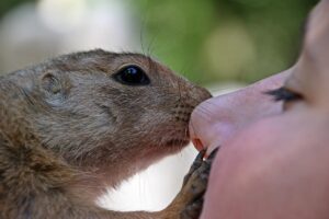 復縁を望むあなたにおすすめの霊感占いとは？