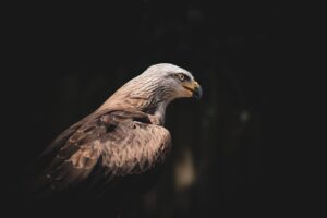 復縁を成功させるために成長を見せる方法は？