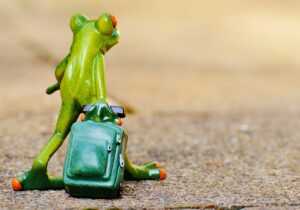 別れて半年の元カレと復縁する方法は？